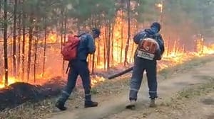 Огнеборцы несколько дней работают на крупном пожаре в Шимановском округе